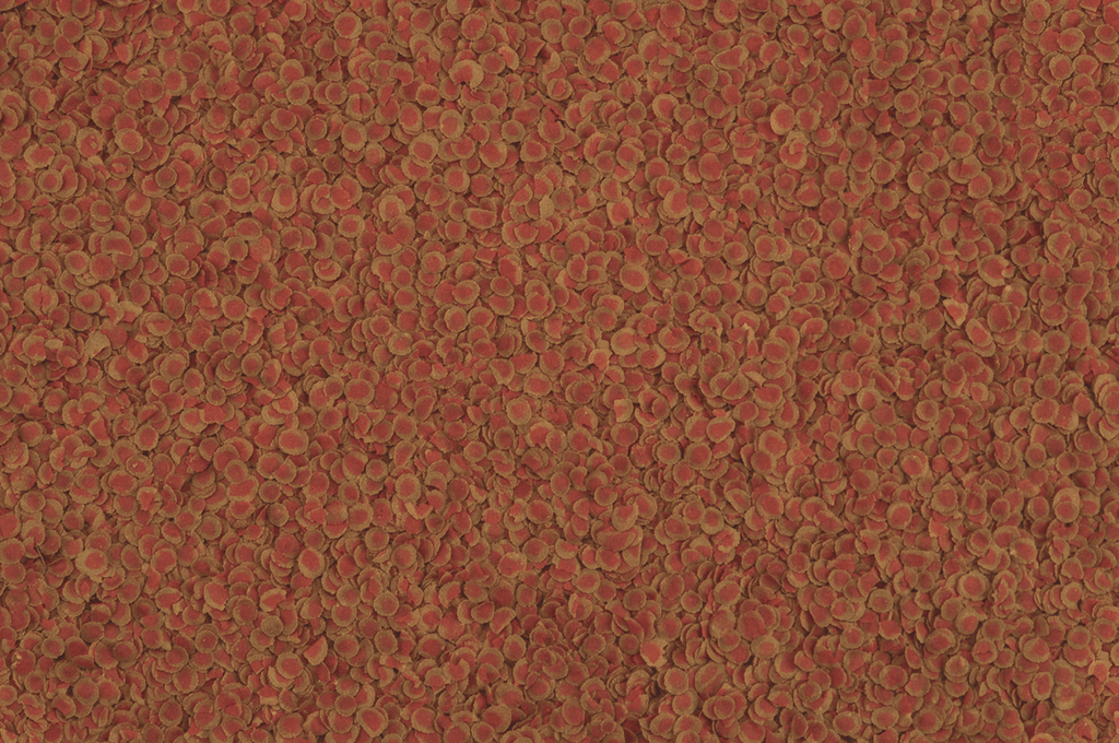 Tetra Pro Colour Mutli Crisp 20g 100ml - All Things Aquatic