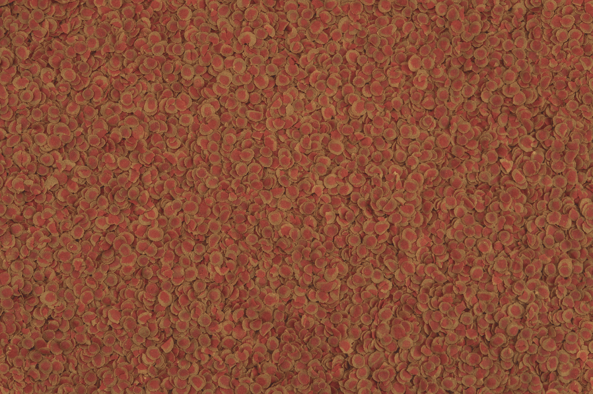 Tetra Pro Colour Mutli Crisp 20g 100ml - All Things Aquatic