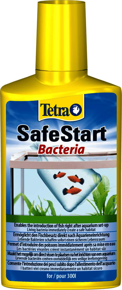 Tetra Safestart Bacteria 100ml - All Things Aquatic