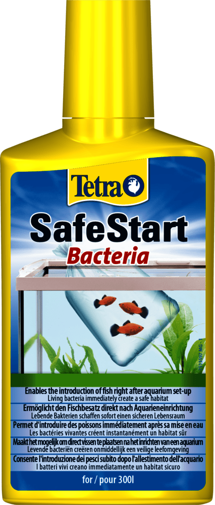 Tetra Safestart Bacteria 100ml - All Things Aquatic