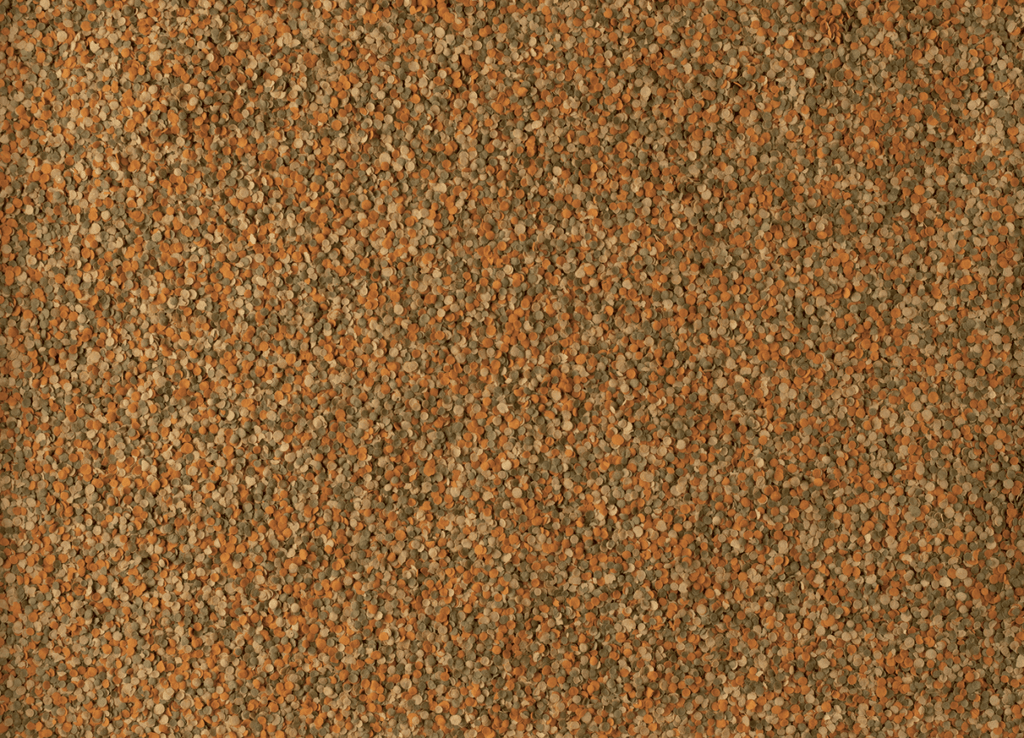 Tetra Tetramin Crisp 55g 250ml - All Things Aquatic