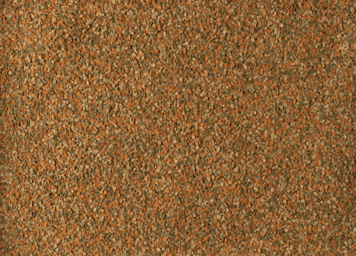 Tetra Tetramin Crisp 55g 250ml - All Things Aquatic