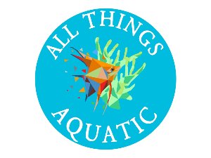 Yasha Goby Lg - All Things Aquatic