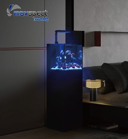 Maxspect Dice AIO Nano Aquarium Set With MJ-L130 LED