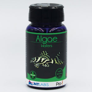 NT Labs Algae Wafers 350g