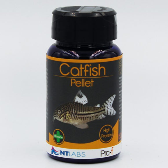 NT Labs Pro-f Catfish Pellet 60g