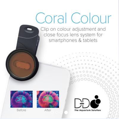 D-D Coral Colour Clip On Photo Filters