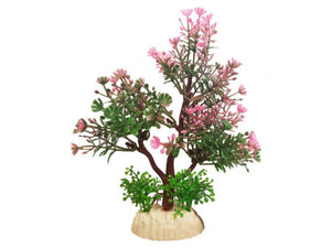 Betta 5" Pink Tree