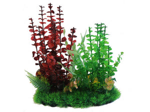 Betta 13" Red & Green Combi Plant