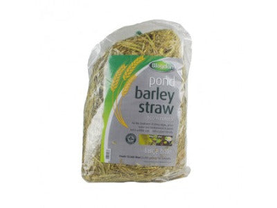 Blagdon Barley Straw Large Bale